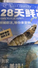 鲜京采【超28天全额退】 28天鲜冻虾 2斤装 40-60只 源头直发 北海大虾  实拍图