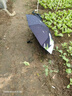 C'mon全自动晴雨伞三折防晒遮阳伞太阳伞女防紫外线 星空兔自动伞 实拍图
