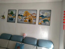 莫小邪客厅装饰画高档轻奢大气沙发背景墙挂画三联画现代简约墙上壁画鹿 H款 三联画 中间40*30+左右20*30布纹膜黑边 实拍图