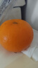 正宗德庆皇帝柑新鲜水果贡柑茂谷10斤广东当季桔子媛爱橘柑沃大果 带箱10斤装中大果 实拍图