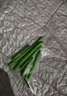 京东物流 植物营养棒绿植盆栽通用植物长效氮磷钾复合缓释肥料 植物缓释棒试用装6支 实拍图