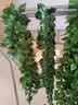 匠心绽放仿真藤条树叶绿箩假绿植空调管道遮挡装饰藤蔓植物藤条5条装20193 实拍图