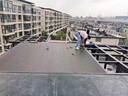 铝合金雨棚别墅院子露台棚长城瓦防雨防晒隔热农村阳光棚遮阳棚 第六代升级版雨棚（全铝合金） 实拍图
