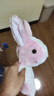 JIMITU幼儿园十二生肖手偶玩具 动物手套手玩偶手指玩偶卡通毛绒娃娃 粉兔 实拍图