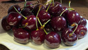 鲜惠源大连美早大樱桃车厘子 精选大果车厘子 大樱桃生鲜送礼水果 精选XL级2斤（净重1.8斤） 实拍图