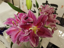 云南鲜花批发品质玫瑰百合水养鲜切花送女友水养鲜花源头直发 小雏菊混搭色-5支 【任选2件—不收运費】 实拍图