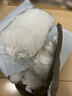 收米水槽漏单三角架剩菜剩饭厨余垃圾厨房水池洗碗菜盆沥水网过滤筐架 原装【400只过滤网】 实拍图