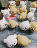 名创优品（MINISO）线条小狗快乐贴贴盲盒手办桌面摆件玩具周边生日礼物男女 端盒 实拍图