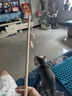 柒哦猫玩具逗猫棒猫咪自嗨解闷玩具耐咬编织小老鼠带铃铛小猫互动玩具 原木逗猫棒四件套 实拍图