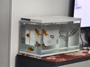 喜高超白玻璃鱼缸智能鱼缸免换水小型客厅水族箱一体式过滤氧气鱼缸 白-鱼缸+加热棒 485*225*283mm 实拍图
