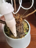 贝吹坊懒人自动浇花神器 假期出差外出家用渗水器日式园林可调节滴灌器 4个装（1.5米线长） 浇花神器+调节器 实拍图