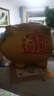 第吉尔金猪存钱罐只进不出儿童陶瓷储蓄罐储钱罐大容量可爱摆件礼物便宜 福气猪可存可取款【带金垫】 长宽高【14*13*11】存1万 实拍图