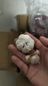 格沃斯（GEWOSI）山东金乡紫皮大蒜头新鲜超市干大蒜生鲜买菜大蒜新干蒜头蒜蔬菜 0.2斤【大蒜】 实拍图