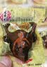 宏香记手撕牛肉豆脯散装称重500g五香素肉豆干豆腐干解馋小零食 牛肉豆脯（XO酱味）称重500g 实拍图