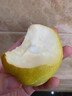 锁季新疆库尔勒香梨现摘新鲜水果脆甜香妃全母梨孕妇水果春节礼盒送礼 净重8斤商超大果 单果120g+ 实拍图