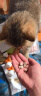 好主人猫条猫咪零食 喵舔酱火腿肠猫罐头白肉汤罐成猫幼猫通用营养开胃 猫咪零食大礼包870g 实拍图