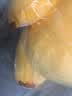 活石奶龙毛绒玩具公仔大号娃娃1-3岁儿童抱枕玩偶女孩男孩生日礼物 奶龙公仔-微笑款60cm 2026年火的毛绒玩具 实拍图