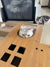 爱沃克驱虫体内外一体拜耳驱虫滴剂宠物猫咪驱虫药猫德国进口艾沃克 【小猫体验】爱沃克1支+海乐妙1粒 实拍图