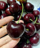 鲜惠源大连美早大樱桃车厘子 精选大果车厘子 大樱桃生鲜送礼水果 精选XL级2斤（净重1.8斤） 实拍图