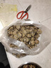 【荔浦荸荠】现挖特大荔浦马蹄荸荠清甜多汁新鲜水果广西桂林特产 【净重5斤】中大果 果径≥3cm 实拍图
