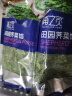 浦之灵 田园荠菜馅 350g/袋 野菜馄饨饺子包子馅 冷冻预制蔬菜 健康轻食 实拍图