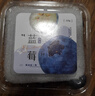 鲜级佳辽宁丹东蓝莓王【多地次日达】新鲜孕妇L25花香蓝莓礼盒怡颗蓝莓 2盒【125g/盒】尝鲜装-划算款 甄选大果 新鲜升级【单果20mm+】 实拍图