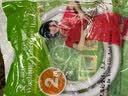 寇端通用松下洗衣机进水管加长全自动滚筒洗碗机上水管入注水软管配件 2.0米 加厚专用防爆进水管 实拍图
