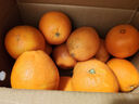 田良季赣南早脐橙手剥甜橙子【多地次日达】新鲜孕妇水果送礼品物双十一 净重9斤装【80%人的选择】 老树金钻果丨单果90mm+ 实拍图