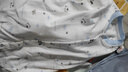 棉芹婴儿衣服新生儿连体衣春秋纯棉内衣初生0-3个月哈衣爬服宝宝衣服 蓝小熊2件装-四季 80cm (建议6-12个月) 实拍图
