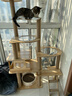 CHONLDERL猫爬架猫窝猫树一体大型太空舱猫架子四季通用剑麻猫咪玩具用品 【156CM 10层双太空舱】全剑麻星喵XM-2 实拍图
