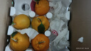 生活＆好管家 四川春见耙耙柑新鲜水果应季橘子现摘孕妇水果整箱桔子橘子 优选级市场果 8.5-9斤【单果80-90mm】净重8斤 实拍图