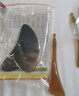 天然纯牛角刮痧板【加厚5mm】家用套装牛角板拨筋棒面部脸部眼部点穴按摩全身通用刮痧精油推拿刮痧仪器 实拍图
