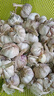 食尚半岛山东金乡鱼台大蒜多瓣祘头蒜种当季农家自种干蒜新鲜蔬菜紫皮批发 精品大蒜【中果】4-5公分3斤 实拍图