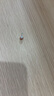 【999足银】天然淡水珍珠耳钉扁圆馒头纯银针耳环轻奢高级银耳饰 紫色 天然淡水珍珠【6mm】一对 实拍图