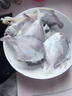 鲳鱼 特大银鲳鱼新鲜冷冻白鲳鱼大小昌鱼海鲜青岛平鱼 【顺丰】3斤银鲳鱼 每斤6-8条 实拍图