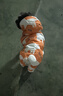 华元宠具（hoopet）狗狗衣服冬天保暖四脚羽绒服宠物小型犬比熊柯基棉服泰迪冬季衣服 【加厚加绒】四脚棉服 橘 XL：背长37cm【建议9-12斤】 实拍图