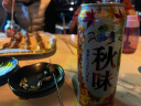 麒麟（Kirin）一番榨 秋味啤酒500ml*24罐 日本原装进口 整箱装 实拍图