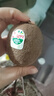 佳沛(zespri) 新西兰进口奇异果绿心猕猴桃新鲜水果礼盒包邮源头直发 16粒装 单果约88-114g 实拍图