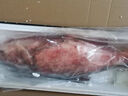查干湖鱼【京东生鲜 年货礼盒】冬捕有机胖头鱼9.5-10斤 1条 年年有余 实拍图