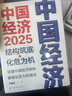 中国经济2025：结构筑底与化危为机（读懂中国经济结构，解锁化危为机路径） 实拍图