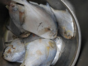 一虾一世界 国产新鲜冷冻无冰衣白鲳鱼/金鲳鱼 清蒸香煎烧烤食材 新鲜捕捞 小白鲳鱼 净重3斤【约6条/斤】 实拍图