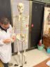 蓝蝶170CM医学全身人体骨骼模型骨盆瑜伽关节可拆卸解剖结构骨架标本 170CM人体骨骼-无神经款 实拍图