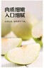 隰县玉露香梨 【顺丰现货】整箱香梨当季水果山西隰县小西天特产 孕妇水果送礼 9粒梨王（净重约9斤）单果100+mm 实拍图