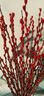 开时果 银柳鲜枝干花年宵花卉 红色真花福桶银柳水培植物室内装饰鲜花 福利推荐【60cm】银柳10枝 实拍图