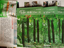 寿禾 密刺黄瓜籽种子夏秋季大长青瓜水果青种瓜蔬菜种菜寿光菜籽 中寿35黄瓜新二代种子60粒x3包 实拍图