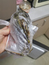 时寐东山岛海捕小青龙虾新鲜活冻大号青龙虾端午中秋春节礼盒顺丰空运  250-300克/只 实拍图