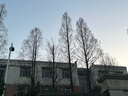 巴拉巴拉童装儿童轻薄羽绒服男童女童冬季中大童短款外套 粉紫70029-白鸭绒 120cm 实拍图