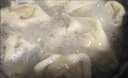 参情无限 纯素大馄饨纯净素云吞荠菜素三鲜全素馅佛家纯素食 荠菜松茸+上海青+芹菜各1盒 900g 实拍图