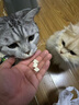 好主人猫条猫咪零食 喵舔酱火腿肠猫罐头白肉汤罐成猫幼猫通用营养开胃 猫咪零食大礼包590g 实拍图