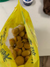 广州正宗鲍师傅糕点海苔肉松小贝爆浆黑松露蟹黄拧檬点心传统爆浆 奶香提子酥500g 实拍图